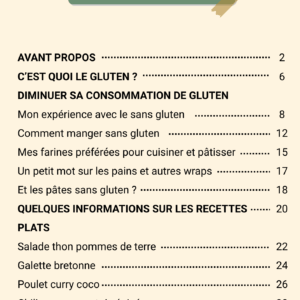 E-book Mes recettes du quotidien SANS GLUTEN