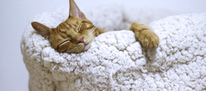 You are currently viewing Mieux dormir : ce que j’ai mis en place pour améliorer mon sommeil